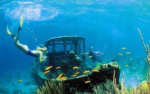 Dive Center Scuba Do